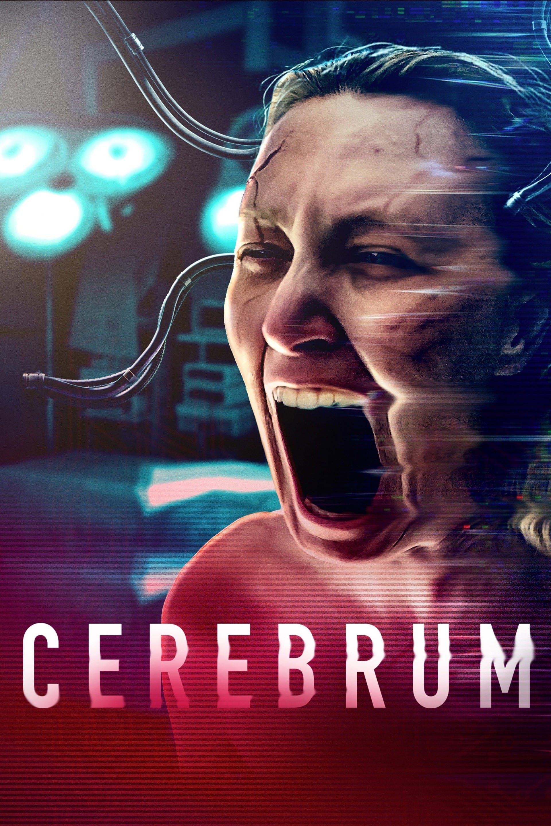 Cerebrum